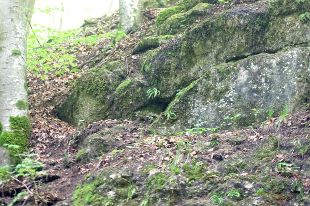 IMGP3836-1024.jpg