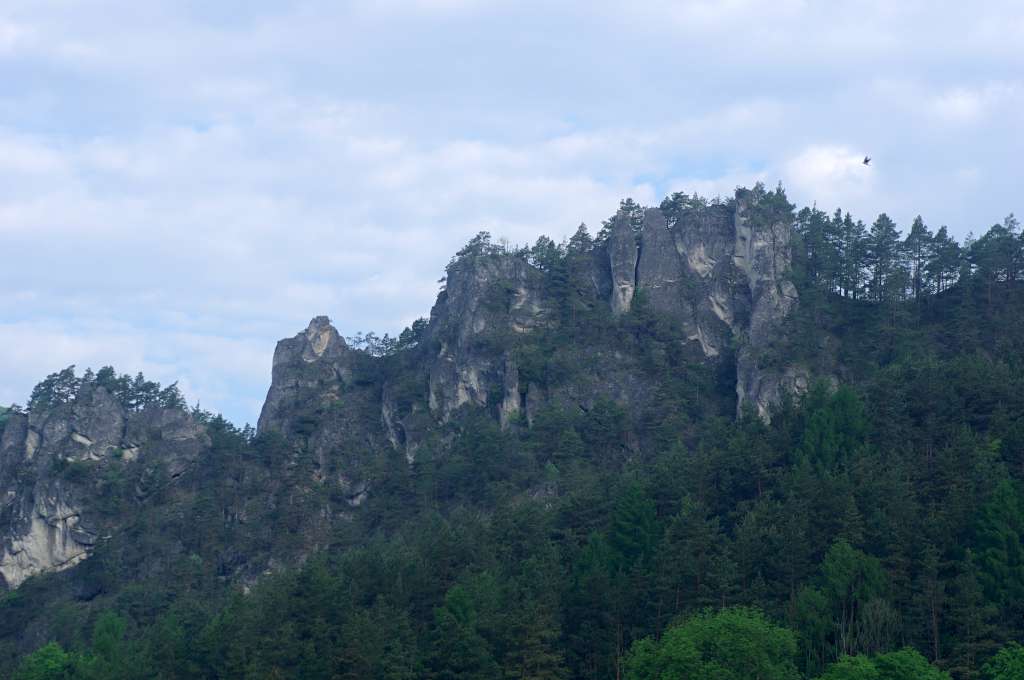 IMGP4032-1024.jpg