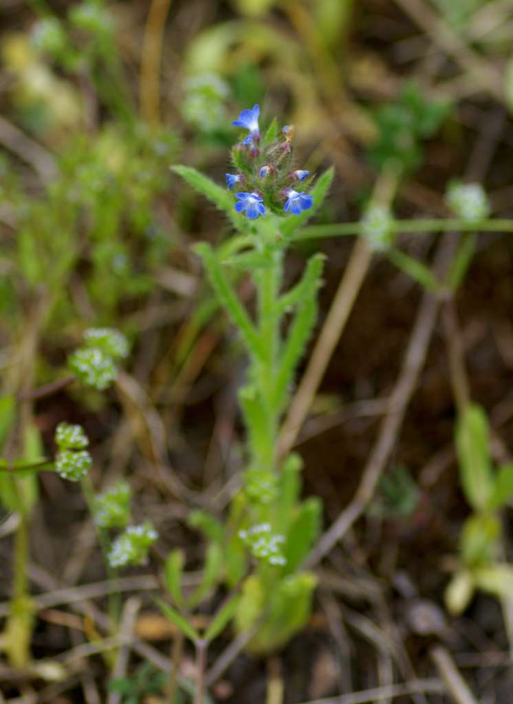 IMGP3328-1024.jpg
