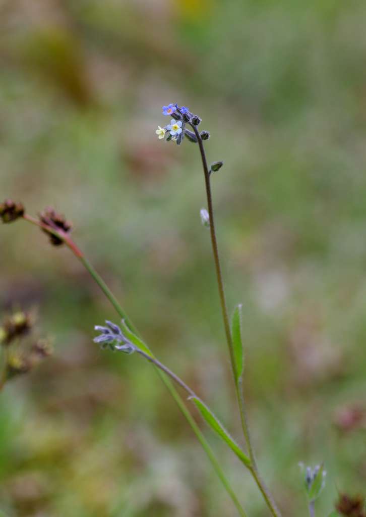 IMGP3392-1024.jpg