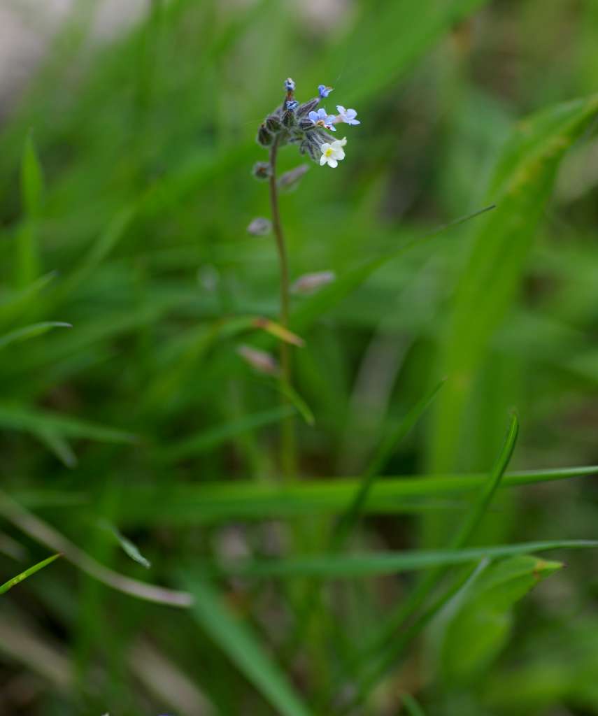 IMGP3447-1024.jpg