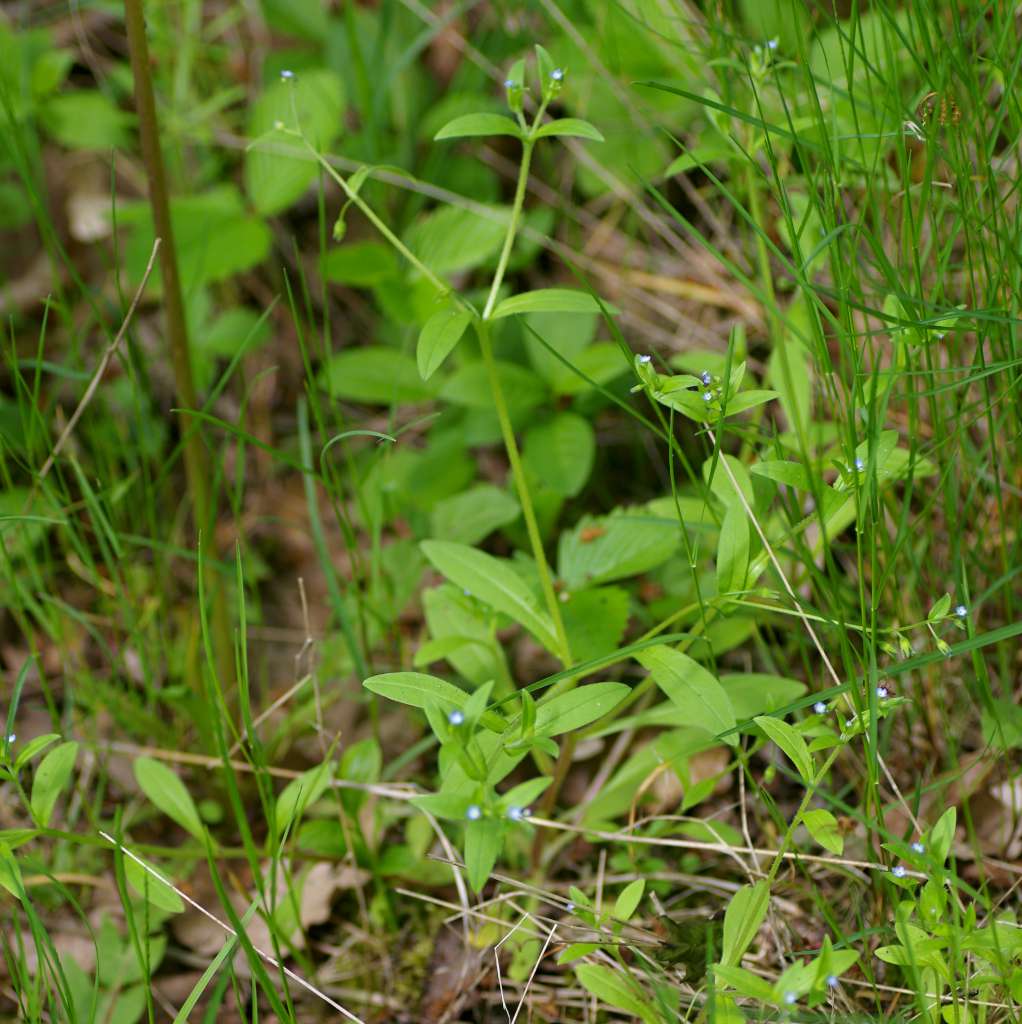 IMGP3577-1024.jpg