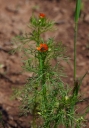 IMGP4193-1024.jpg