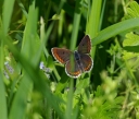 IMGP4204-1024.jpg
