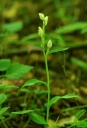 IMGP5171-1024.jpg