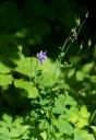 IMGP5173-1024.jpg