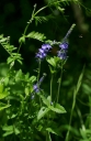 IMGP5174-1024.jpg