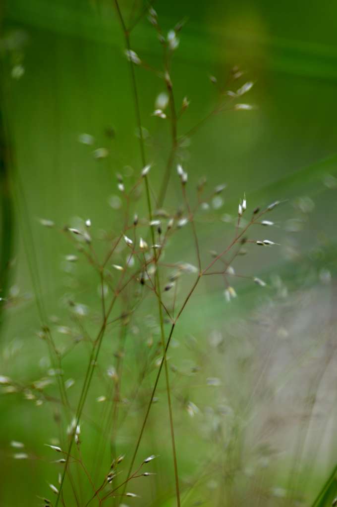 IMGP5562-1024.jpg