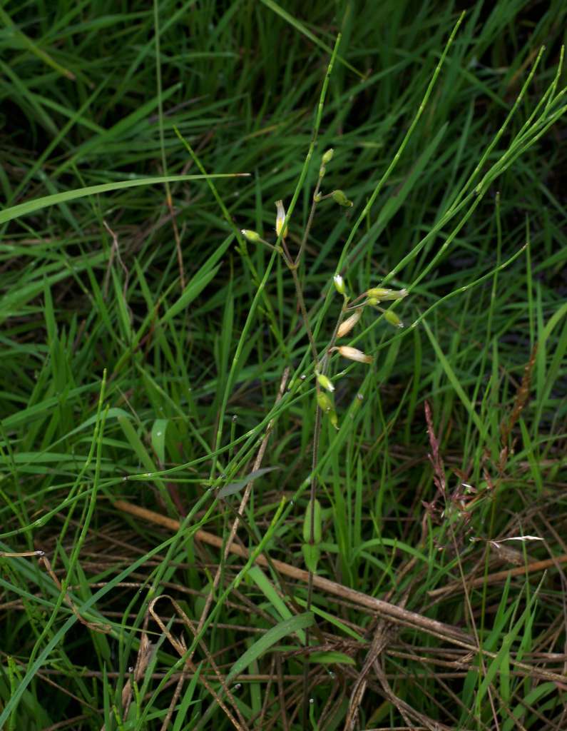 IMGP6019-1024.jpg
