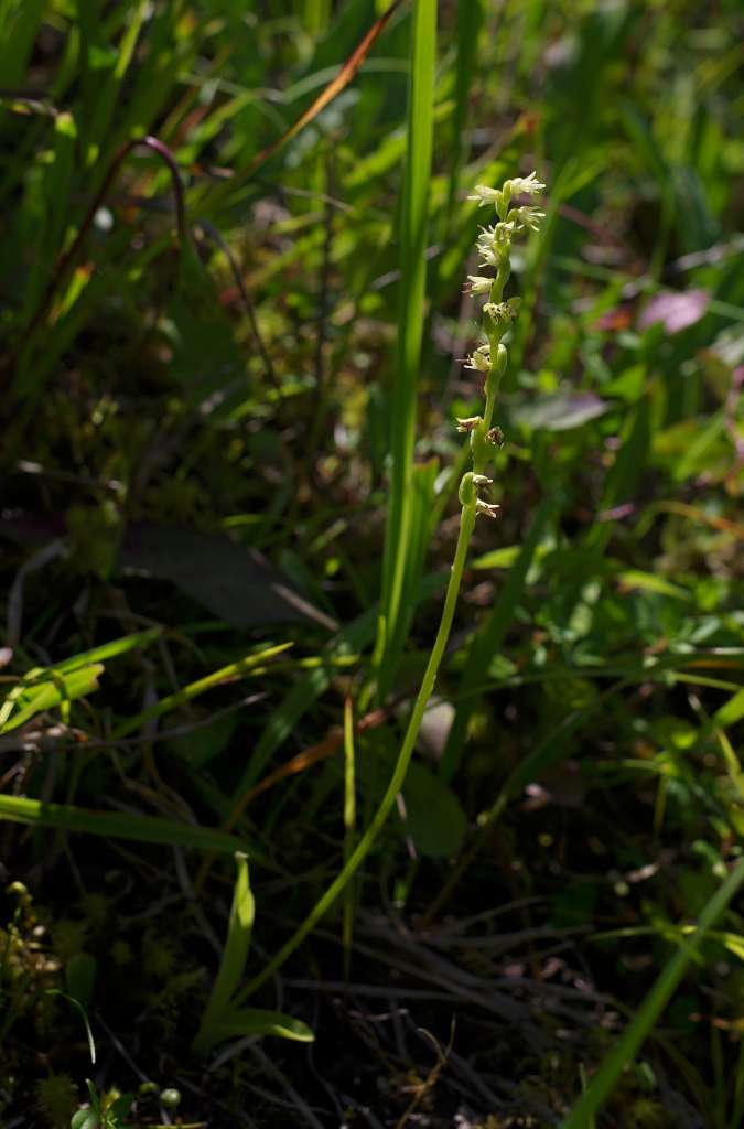 IMGP6196-1024.jpg