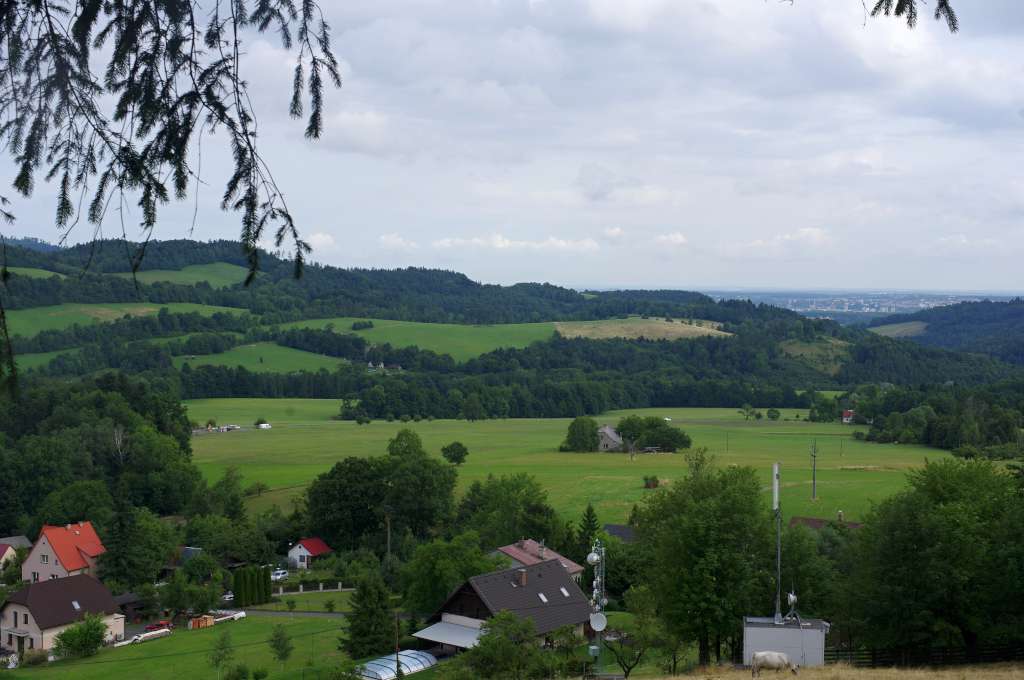 IMGP6963-1024.jpg