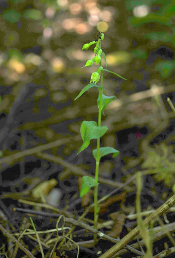IMGP7039-1024.jpg