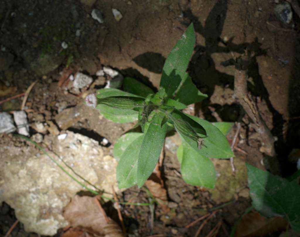 IMGP7428-1024.jpg