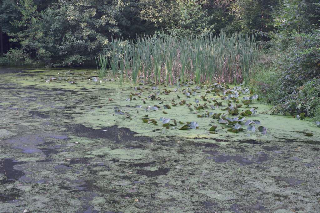 IMGP7659-1024.jpg