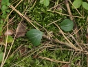 IMGP7998-1024.jpg