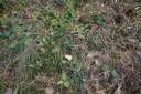 IMGP8002-1024.jpg