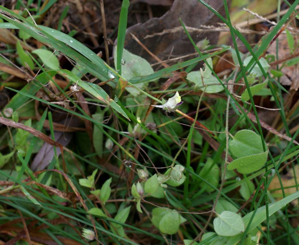 IMGP8333-1024.jpg