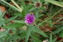 IMGP8324-1024.jpg