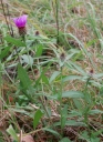 IMGP8327-1024.jpg