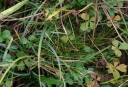 IMGP8340-1024.jpg