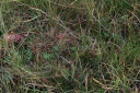 IMGP8343-1024.jpg