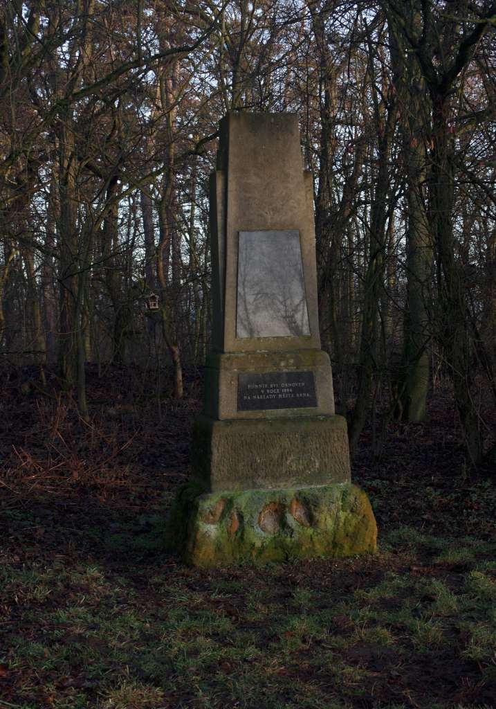 IMGP8511-1024.jpg