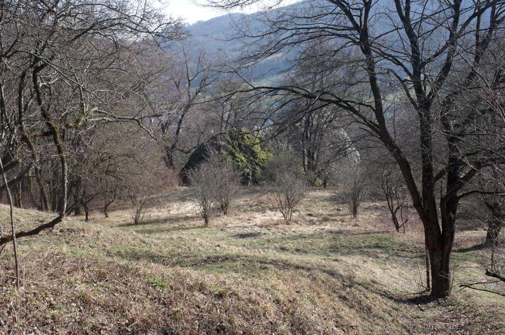 IMGP8642-1024.jpg