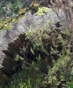IMGP8965-1024.jpg