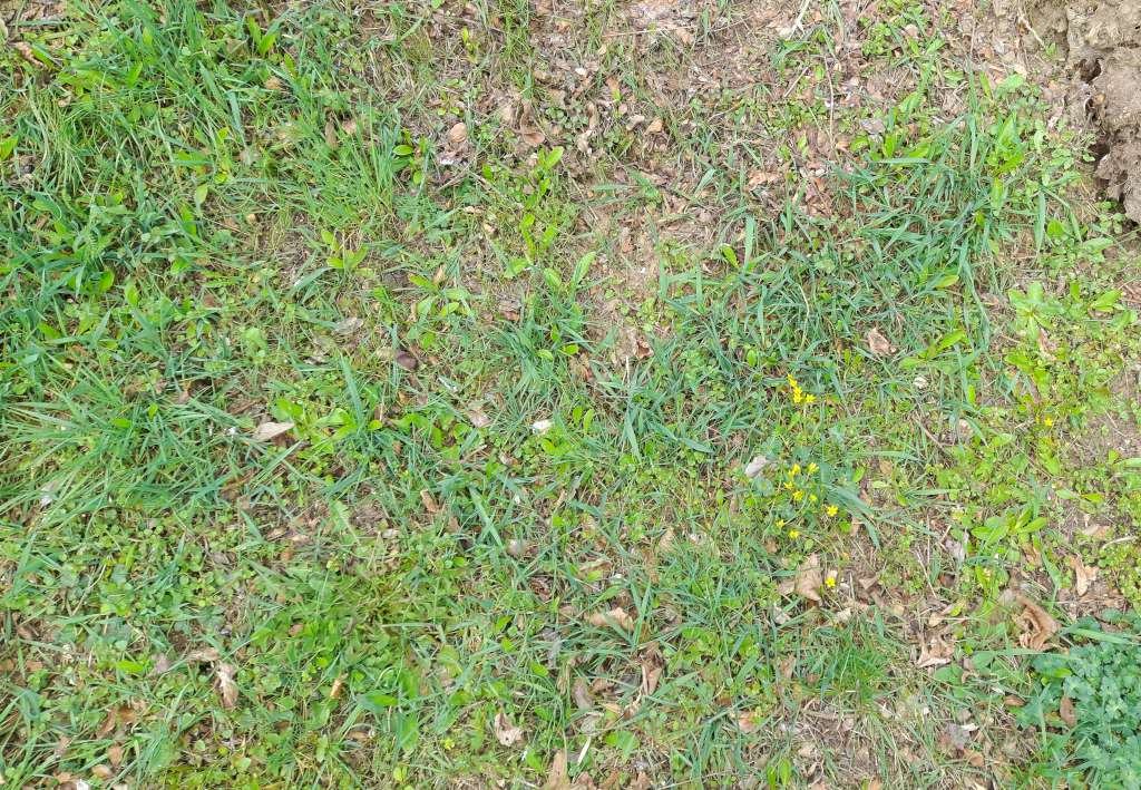 20240322_094231-1024.jpg