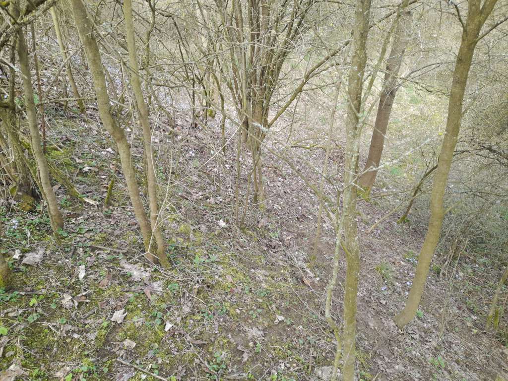 20240322_095350-1024.jpg