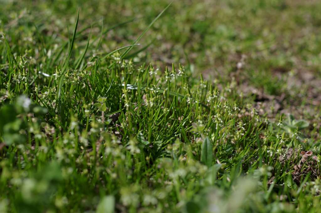 IMGP9180-1024.jpg
