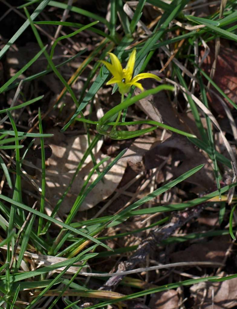 IMGP9194-1024.jpg