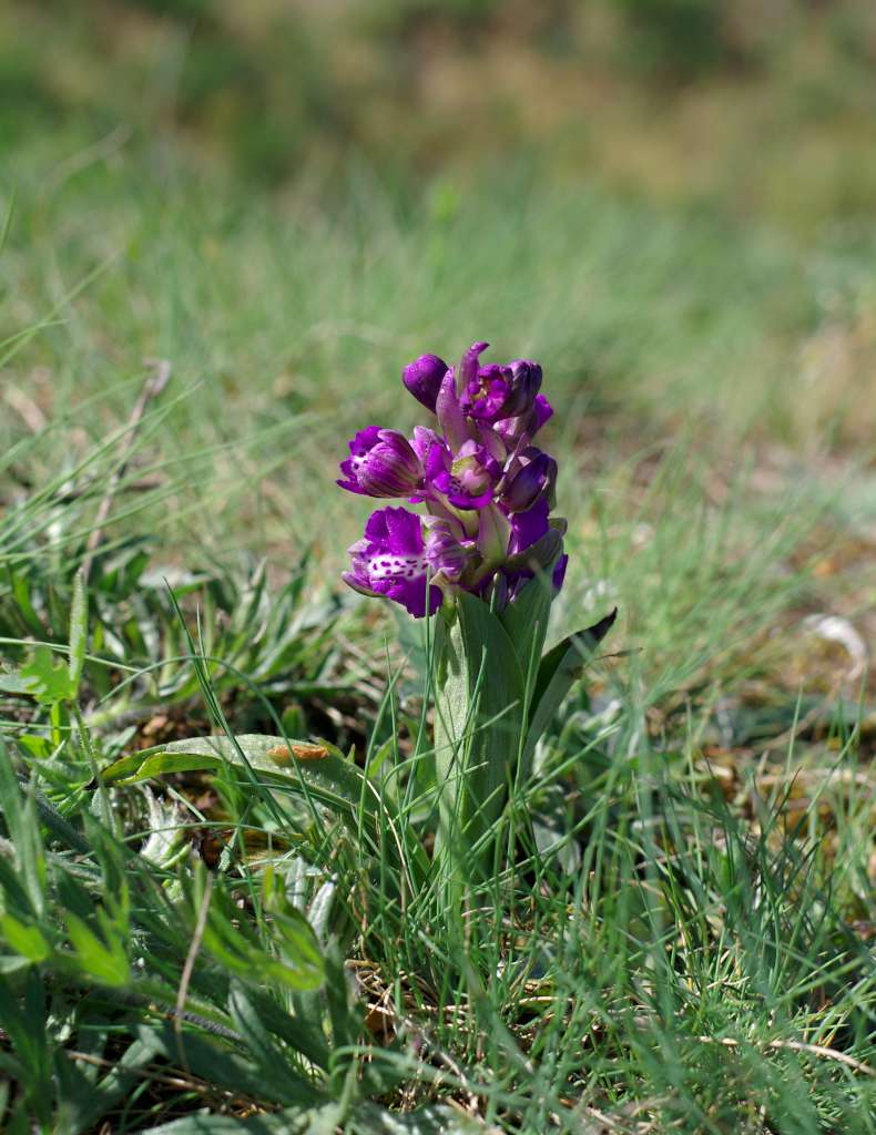 IMGP9702-1024.jpg