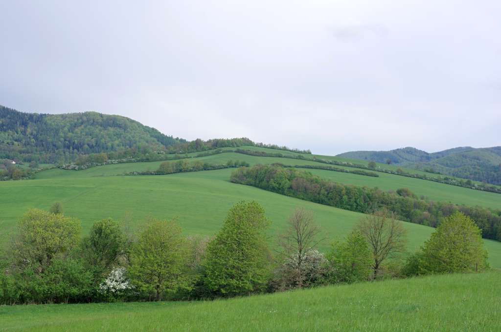 IMGP9841-1024.jpg
