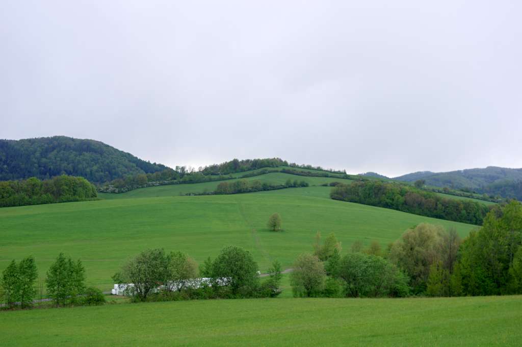 IMGP9858-1024.jpg