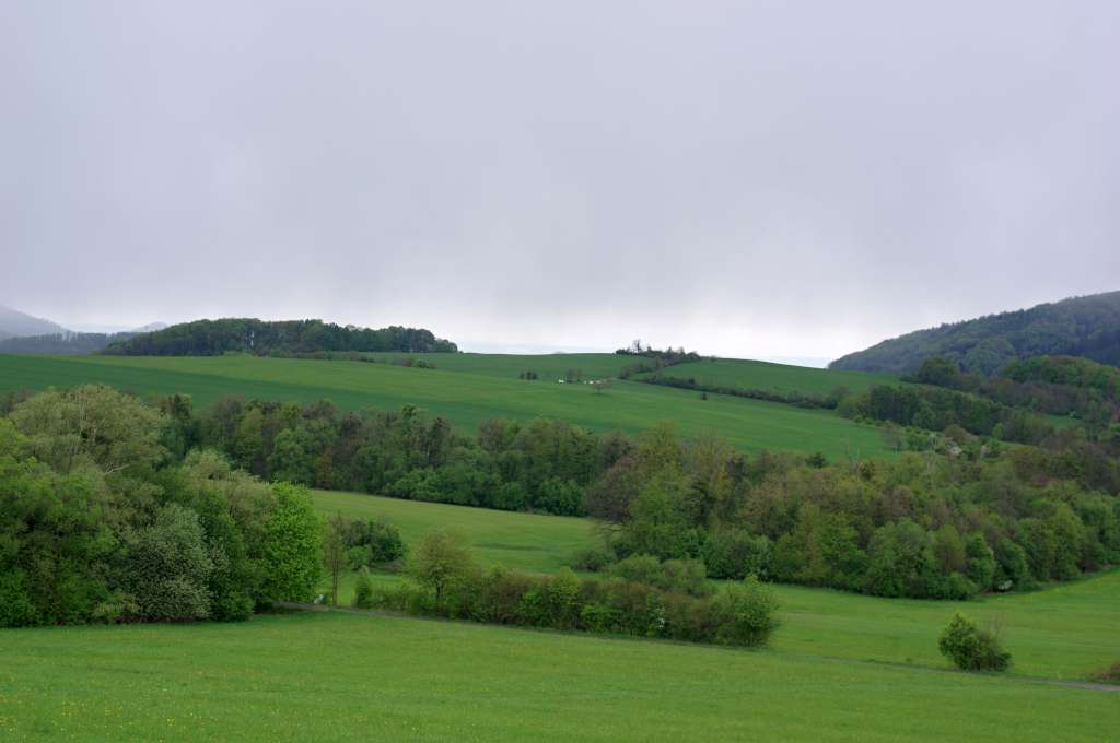 IMGP9859-1024.jpg