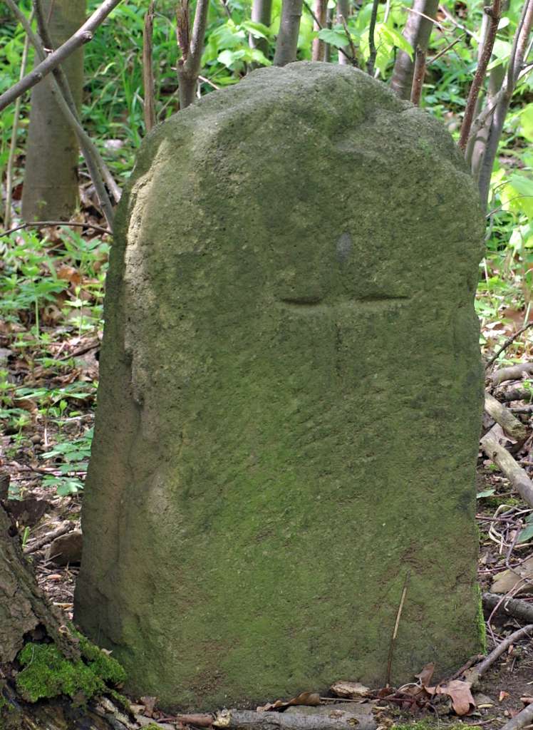 IMGP9945-1024.jpg