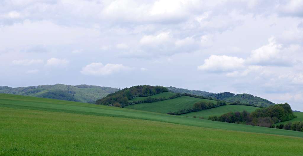 IMGP9970-1024.jpg
