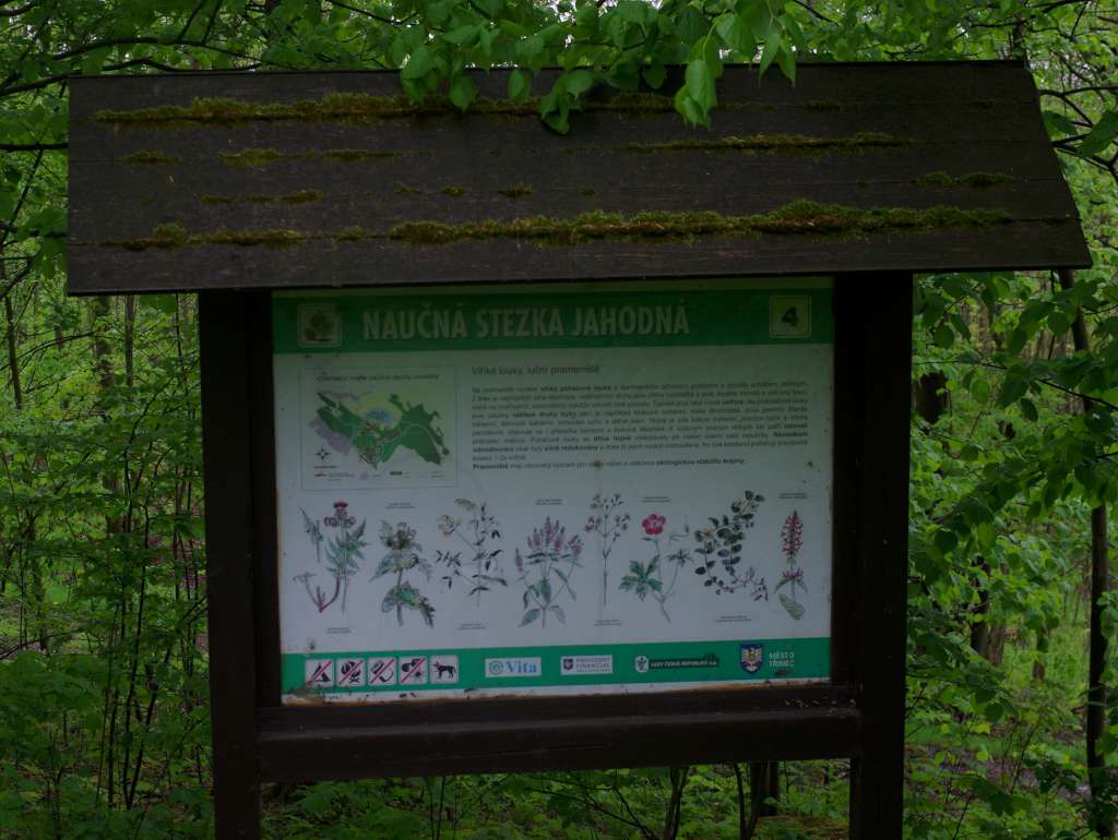 IMGP0128-1024.jpg