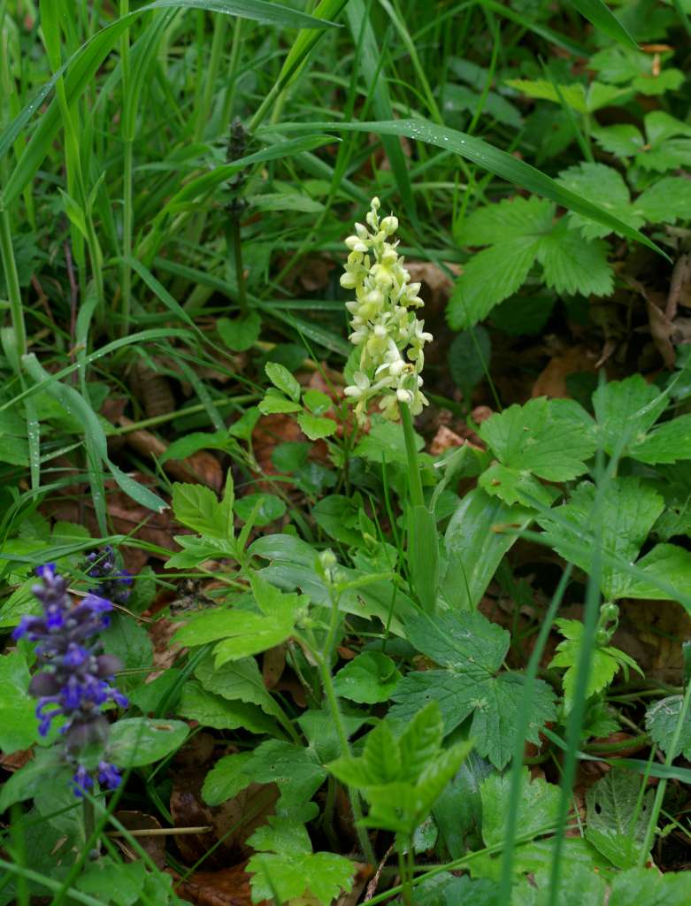 IMGP0140-1024.jpg