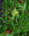 IMGP0139-1024.jpg