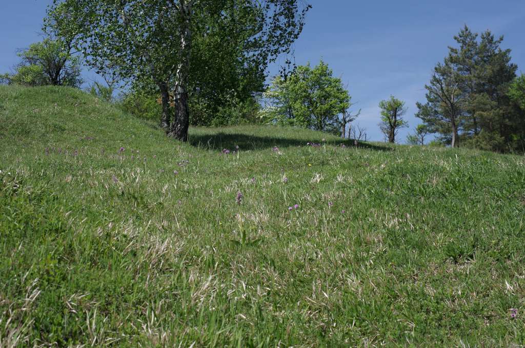 IMGP0483-1024.jpg