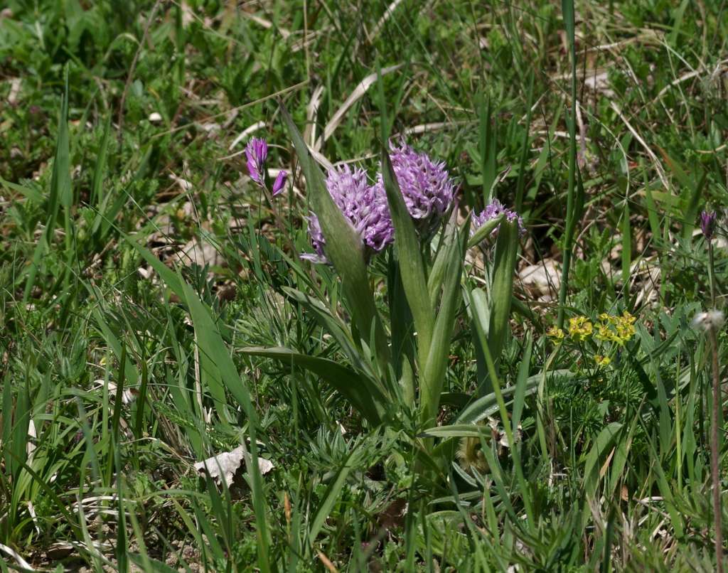 IMGP0509-1024.jpg