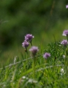 IMGP0500-1024.jpg