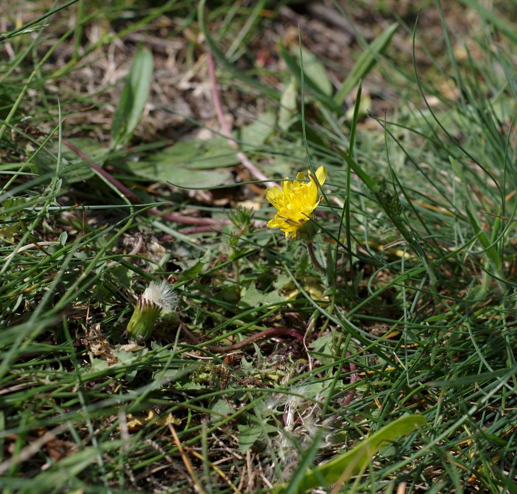 IMGP0358-1024.jpg