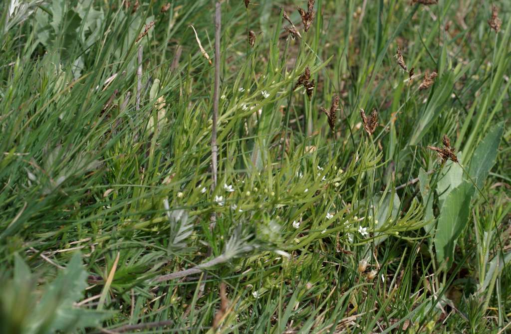 IMGP0421-1024.jpg