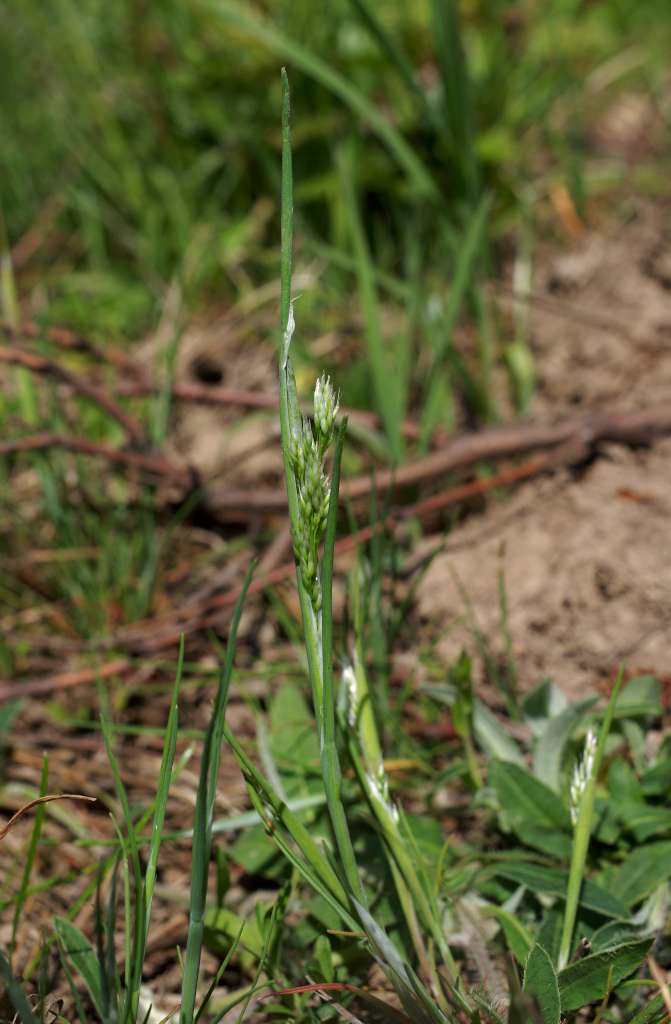 IMGP0710-1024.jpg