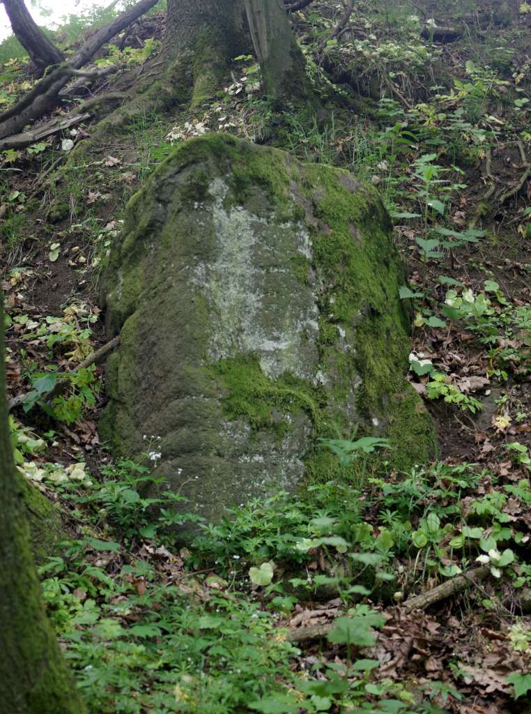 IMGP0947-1024.jpg