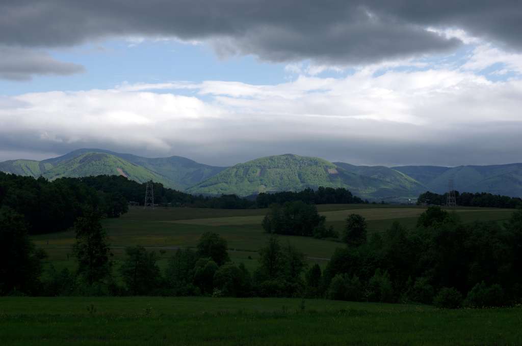 IMGP1237-1024.jpg