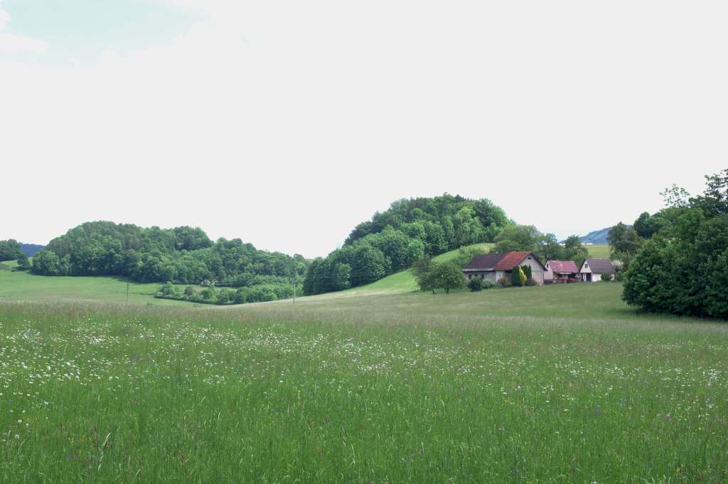 IMGP1402-1024.jpg